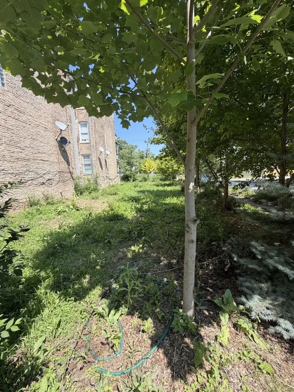 1449 S Spaulding Avenue, Chicago