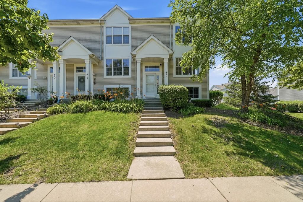 531 Meadow Lily Drive, Joliet