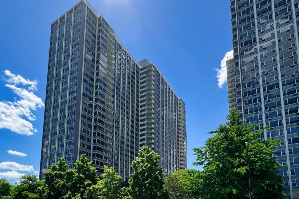 4250 N Marine Drive 2909, Chicago, 60613