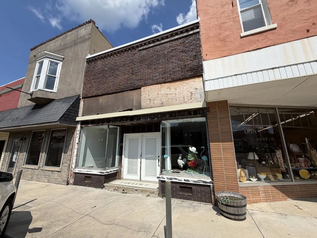 219 S Main Street, Farmer City