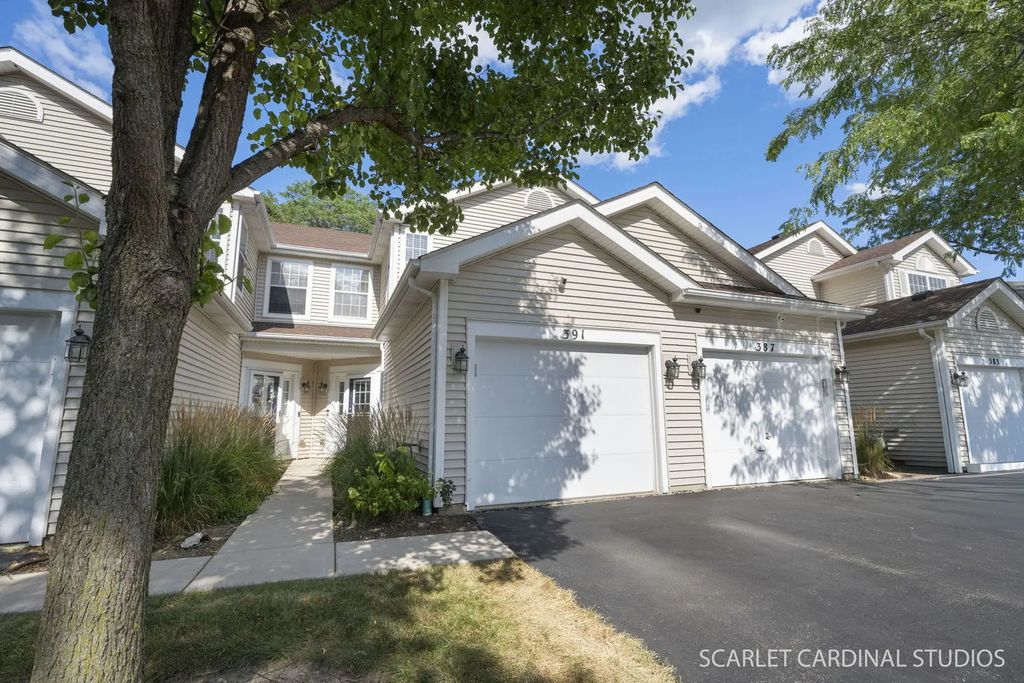 391 Hunterdon Court 4391a, Schaumburg