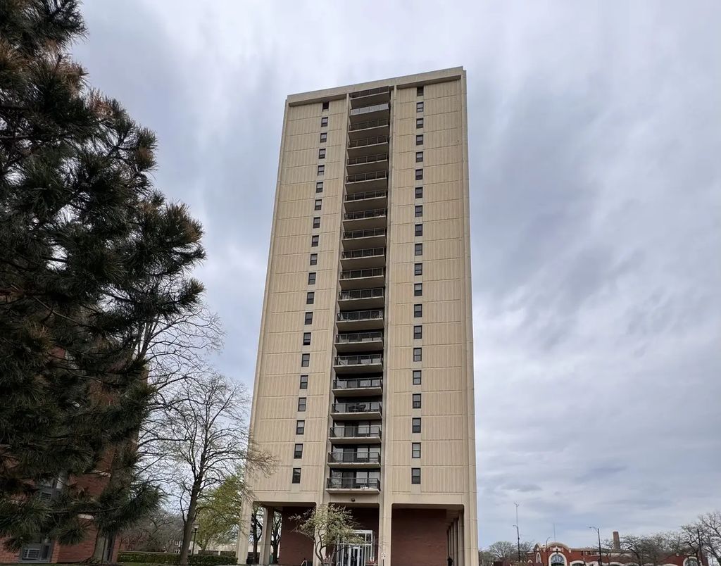2901 S Michigan Avenue 1610, Chicago, 60616