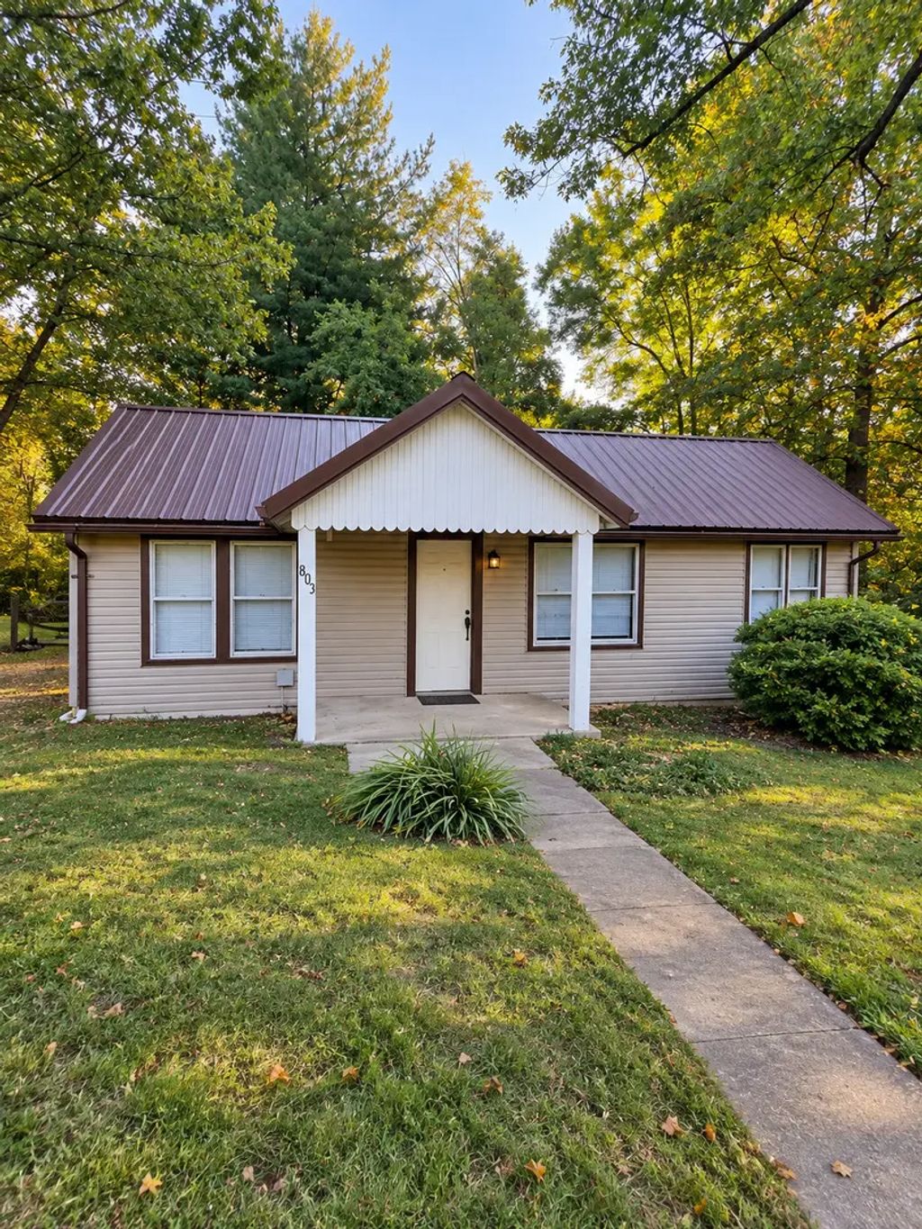 803 N Allyn Street, Carbondale