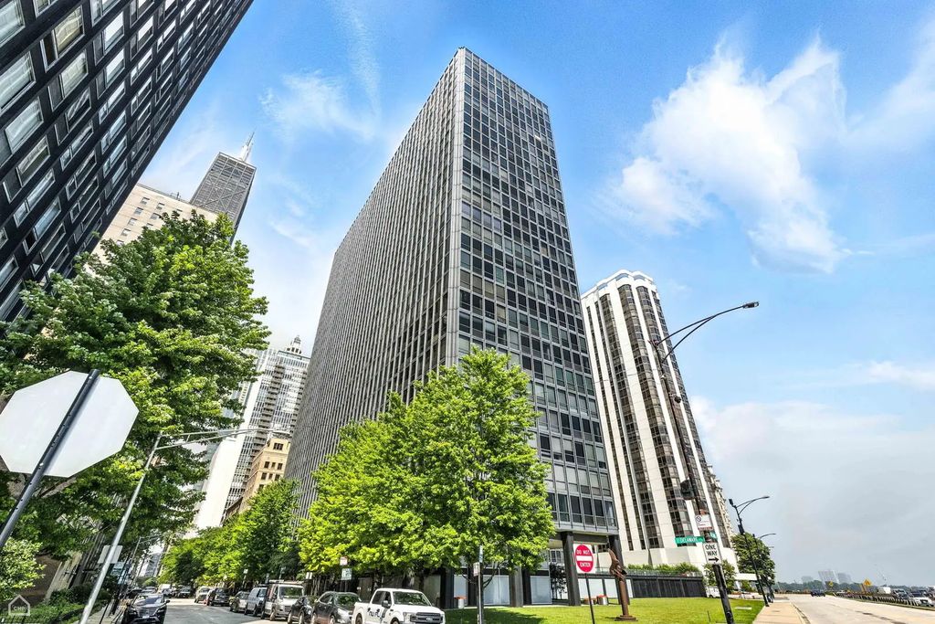 900 N Lake Shore Drive 410, Chicago, 60611