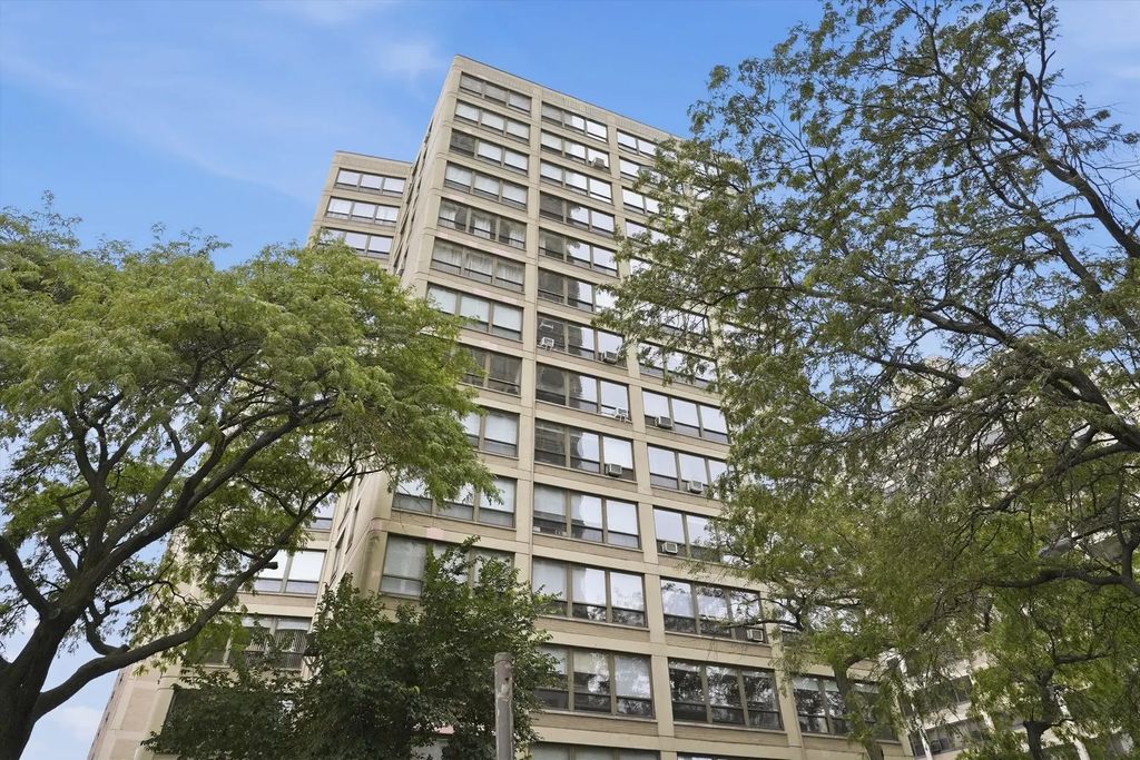 5050 S East End Avenue 1e, Chicago, 60615
