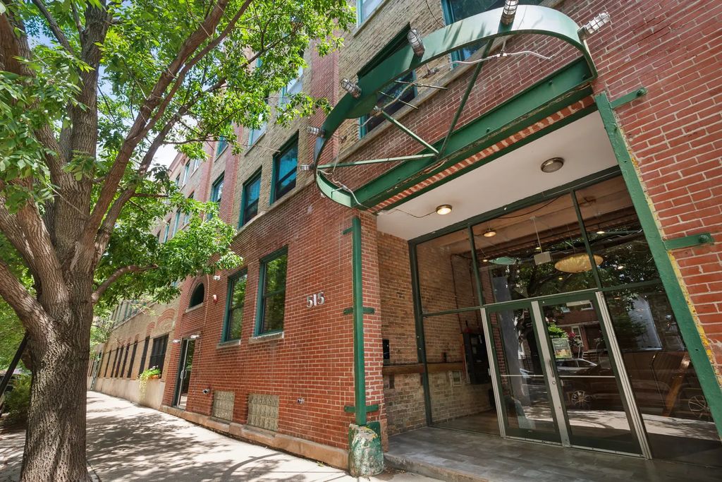 515 N Noble Street 106, Chicago, 60642