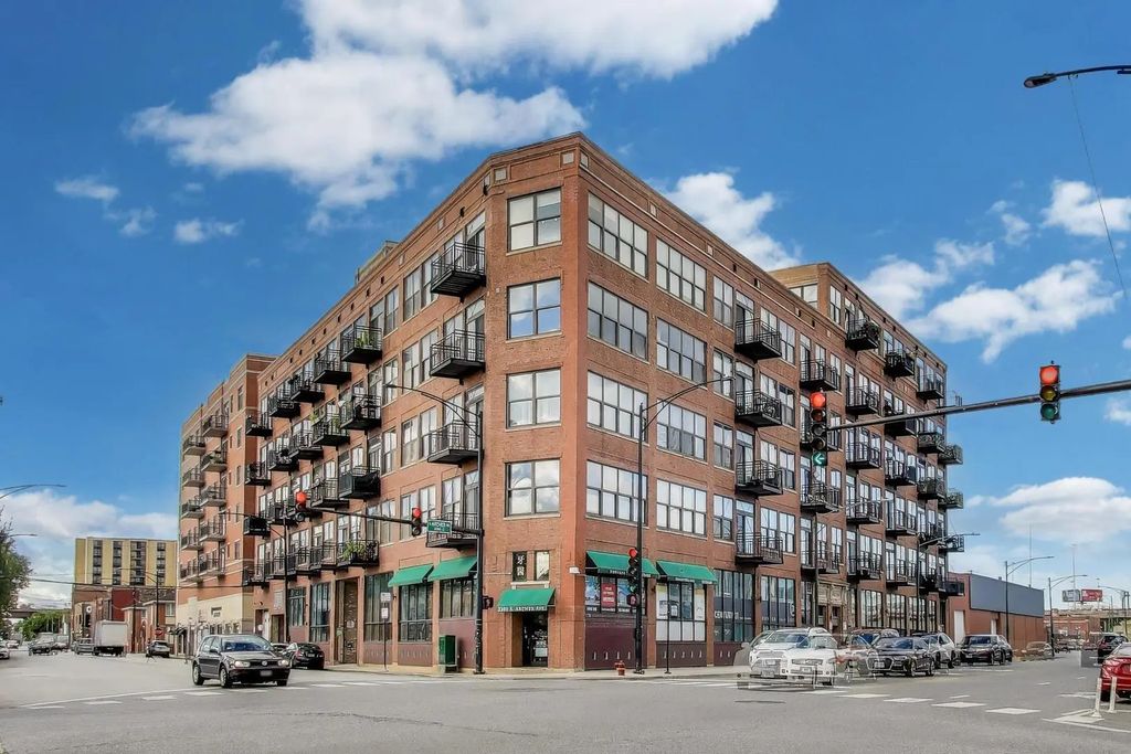 2310 S Canal Street 217, Chicago, 60616