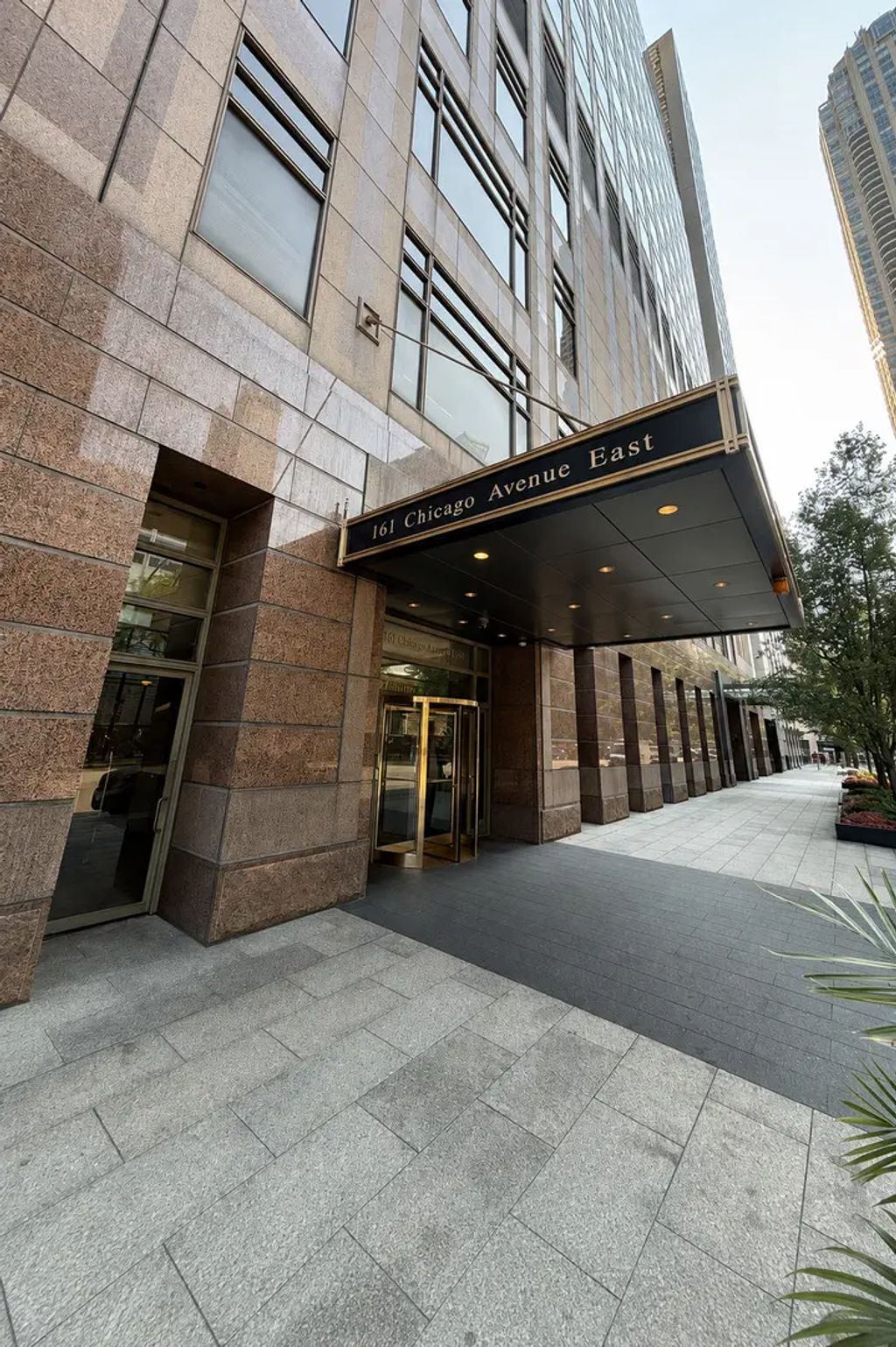 161 E Chicago Avenue 36g, Chicago, 60611