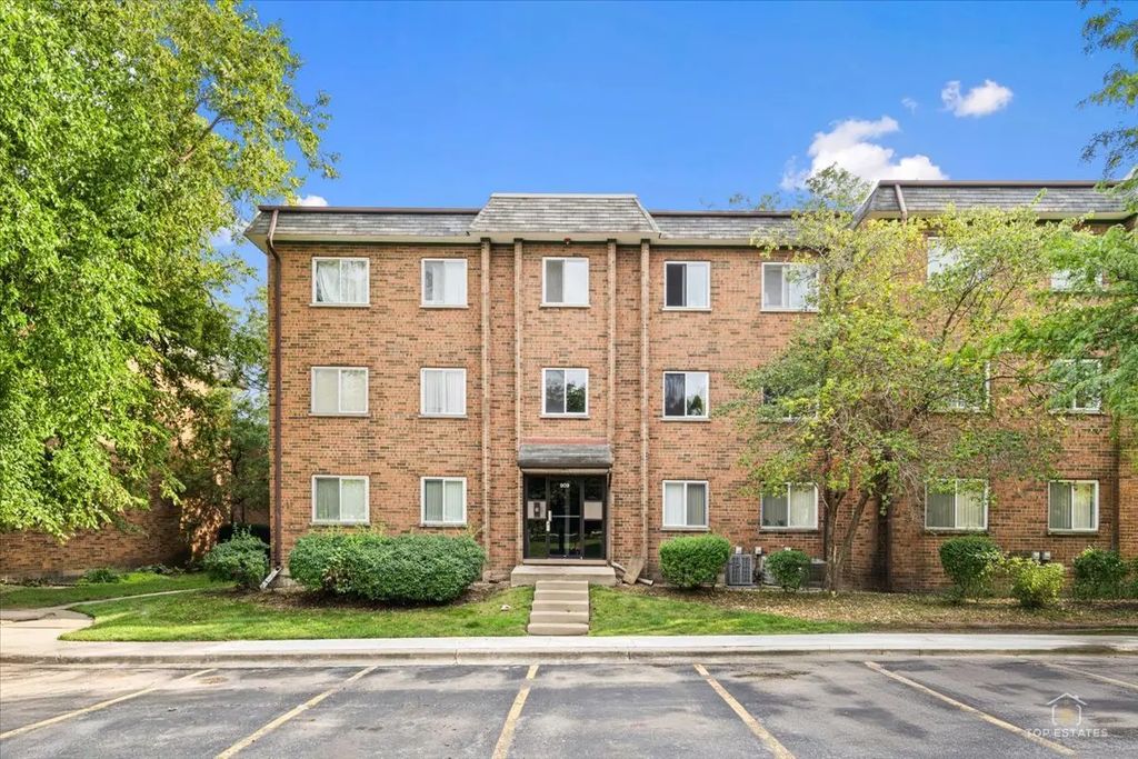 909 Buccaneer Drive 3, Schaumburg
