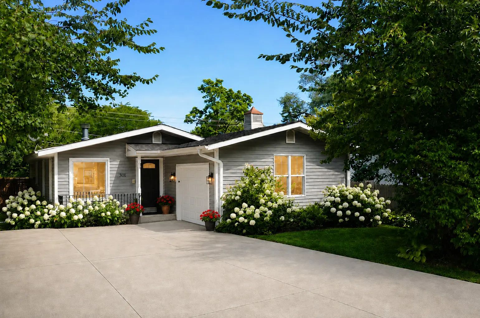 Photo of Listing #12731633