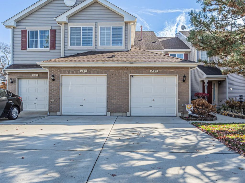 239 Camel Bend Court 4, Schaumburg