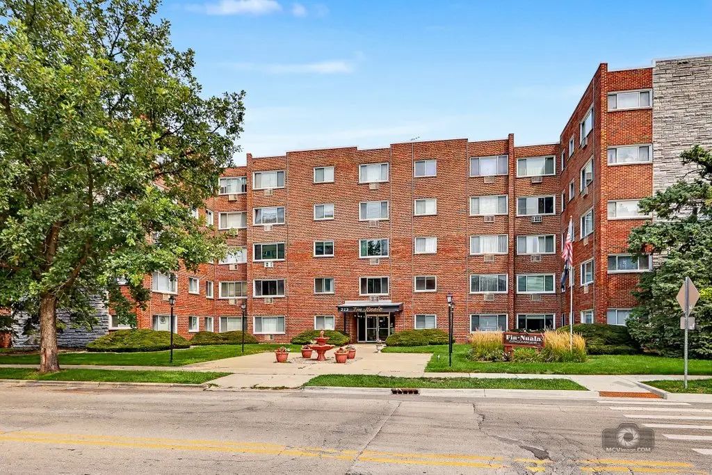 222 Madison Street 109, Joliet