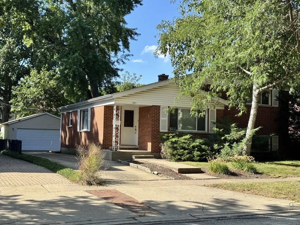 205 W Euclid Avenue, Arlington Heights