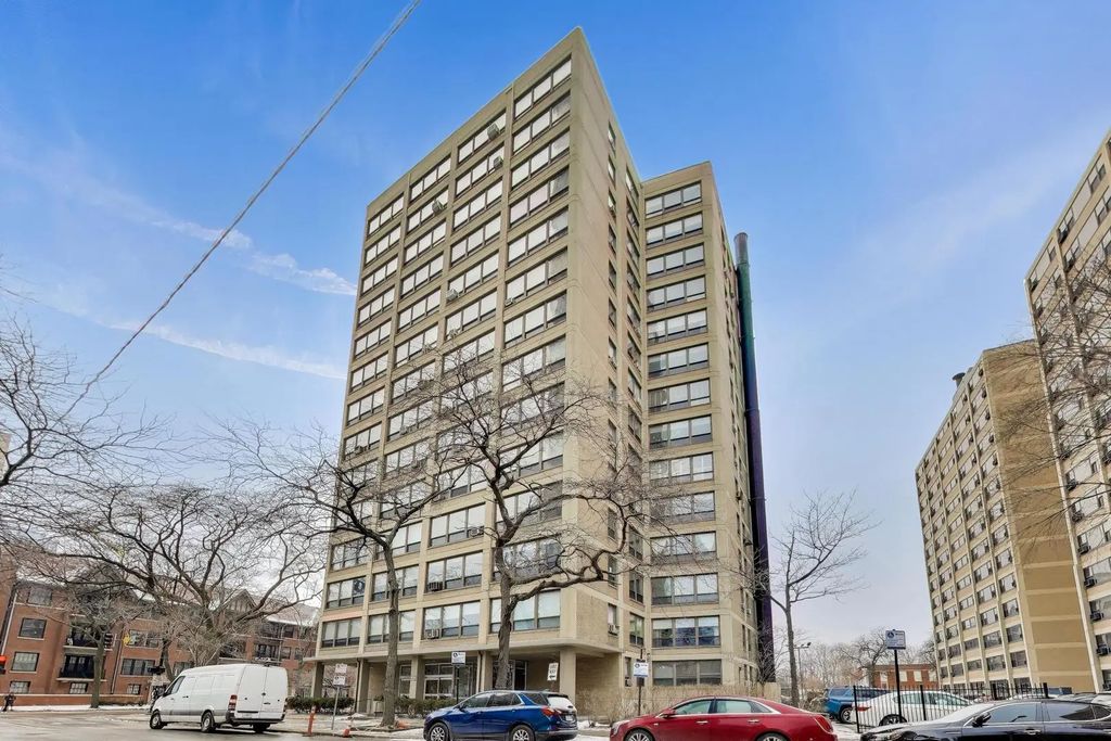 5050 S East End Avenue 3b, Chicago, 60615