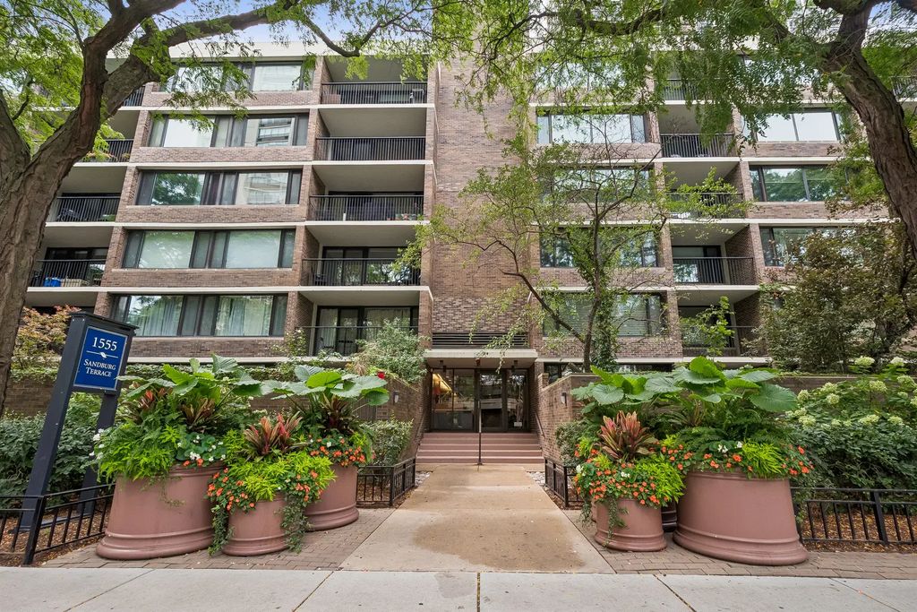 1555 N Sandburg Terrace 512k, Chicago