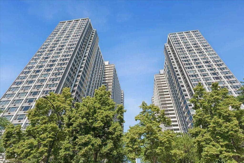 4250 N Marine Drive 531, Chicago, 60613
