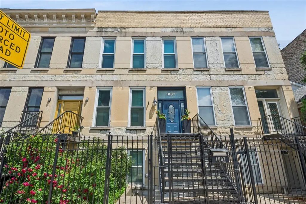 1007 S Racine Avenue, Chicago, 60607
