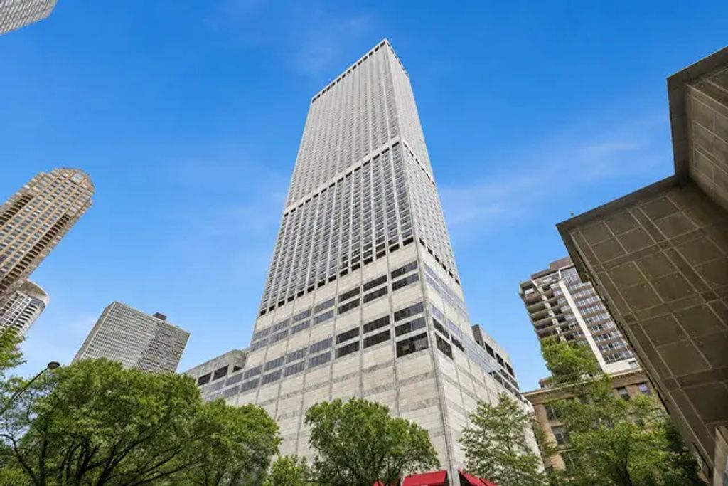 180 E Pearson Street 4207, Chicago, 60611