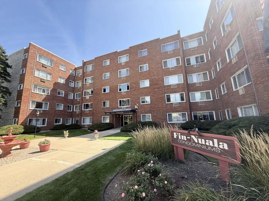 222 Madison Street 405, Joliet