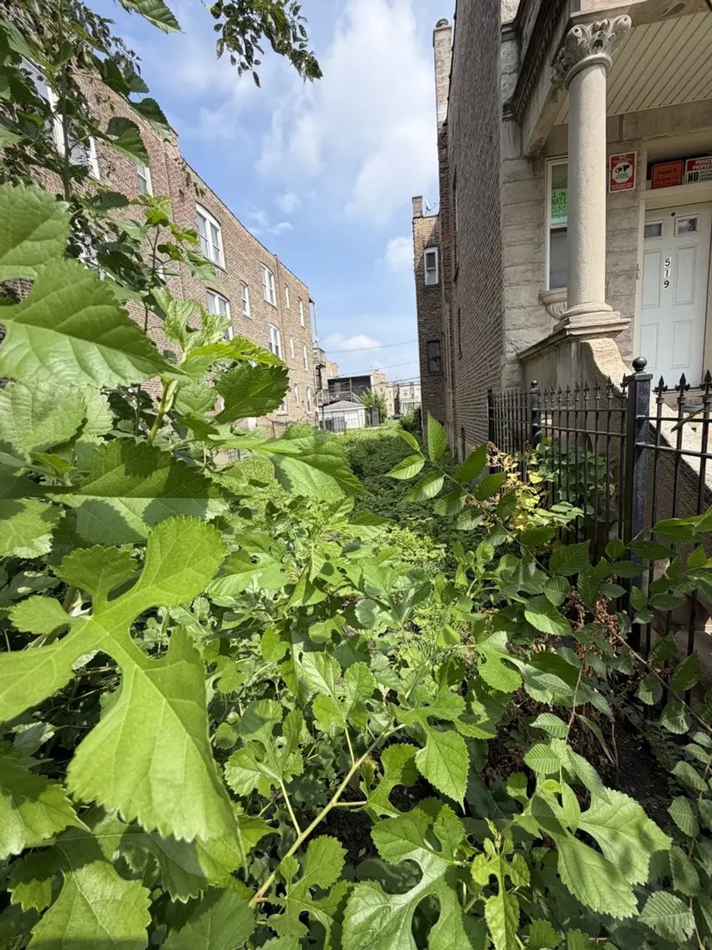 1517 S Millard Avenue, Chicago