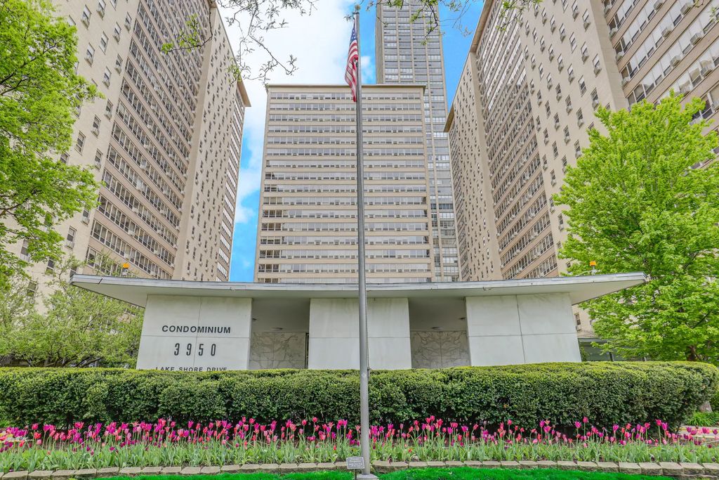 3950 N Lake Shore Drive 1100a, Chicago