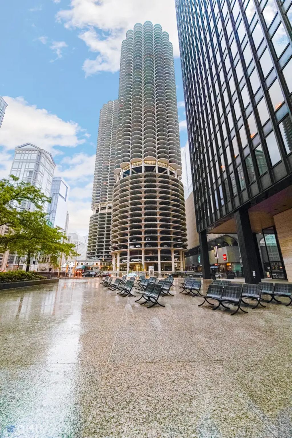 300 N State Street 5009, Chicago, 60654