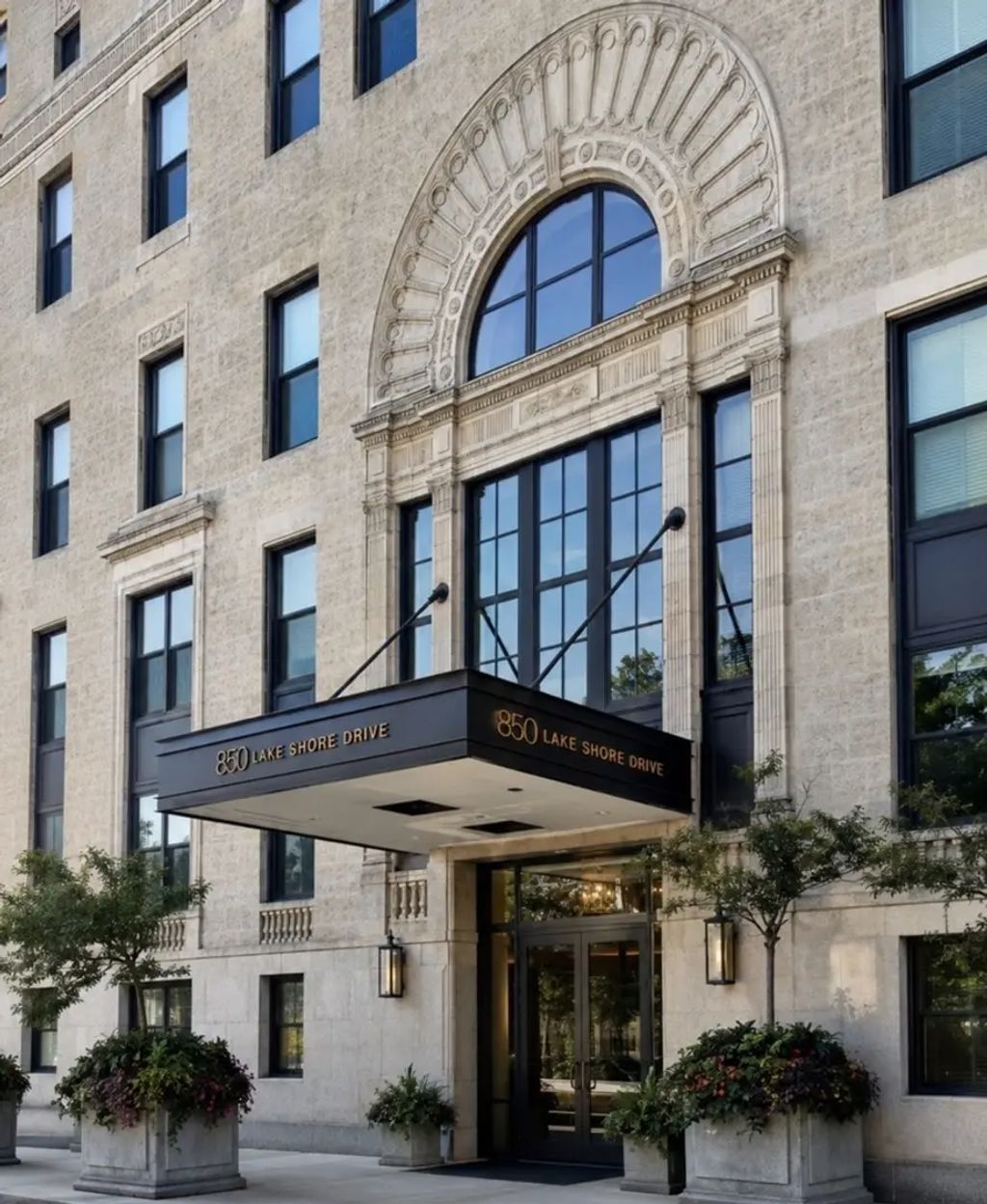 850 N Lake Shore Drive 203, Chicago, 60611