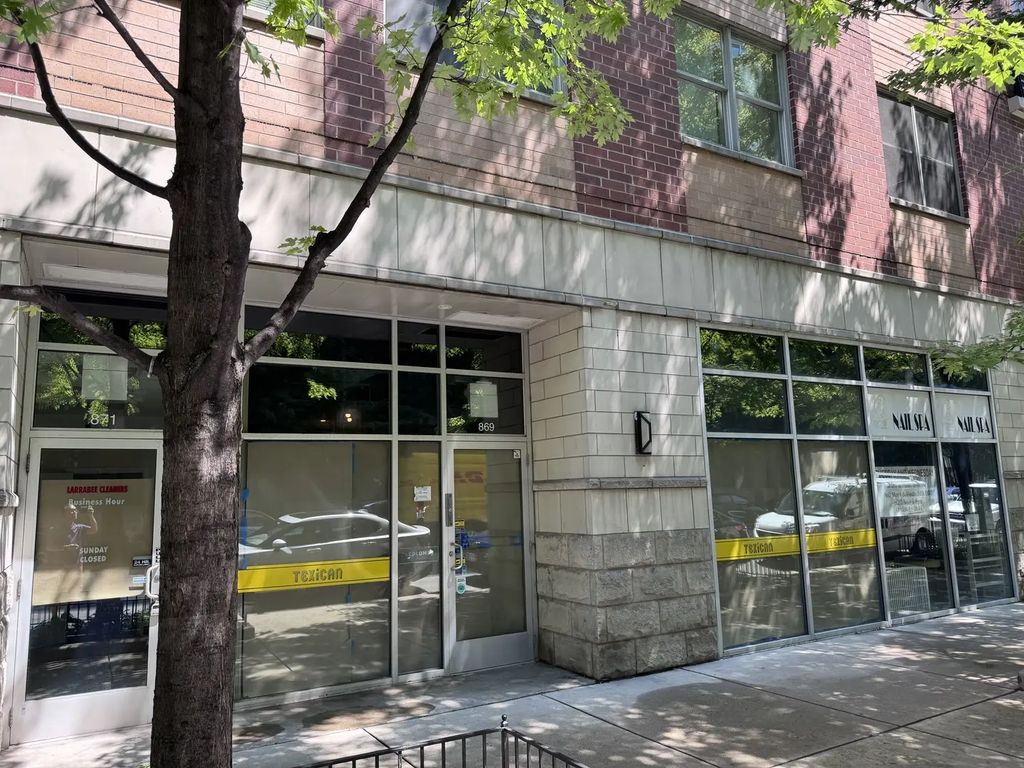 869 N Larrabee Street, Chicago, 60610