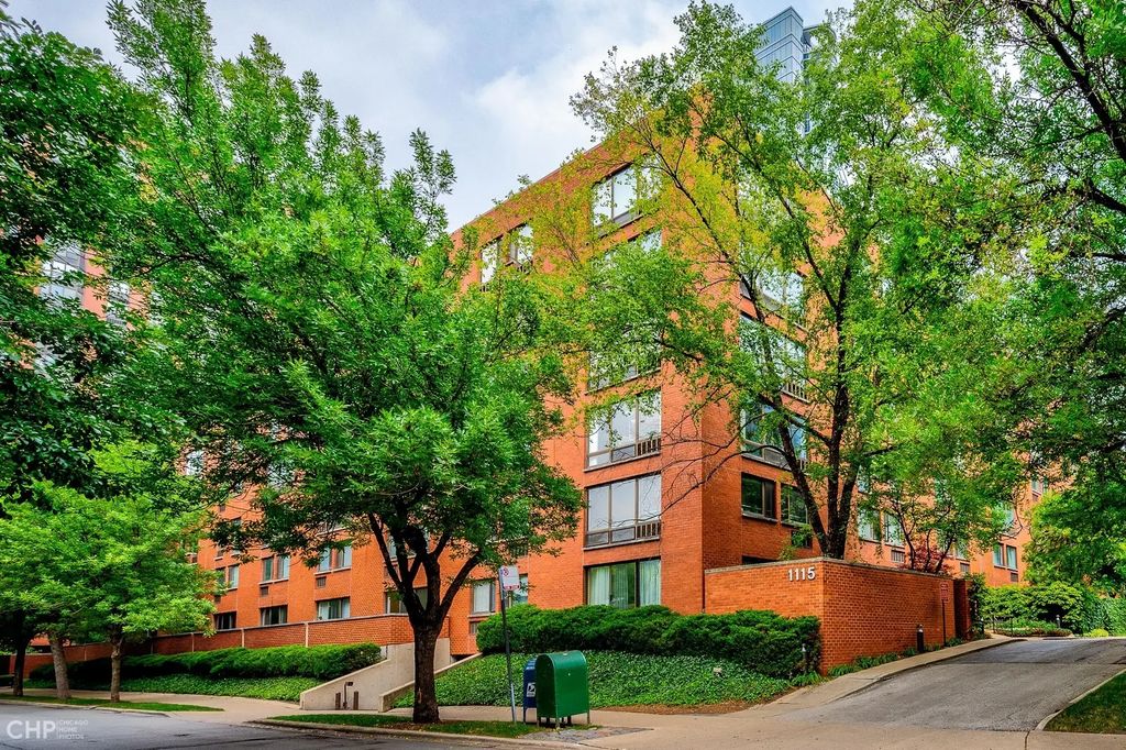 1115 S Plymouth Court 113, Chicago, 60605