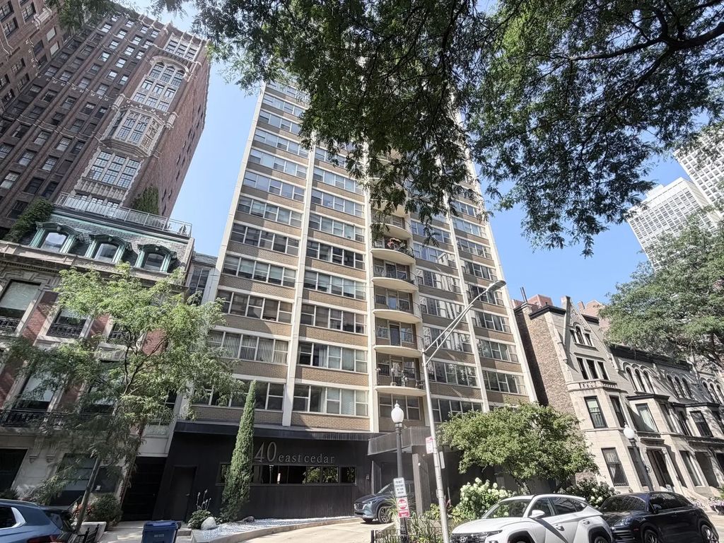 40 E Cedar Street 11c, Chicago, 60611