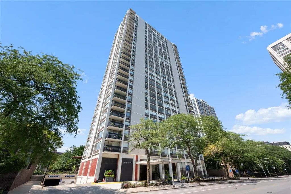 1455 N Sandburg Terrace 508, Chicago, 60610
