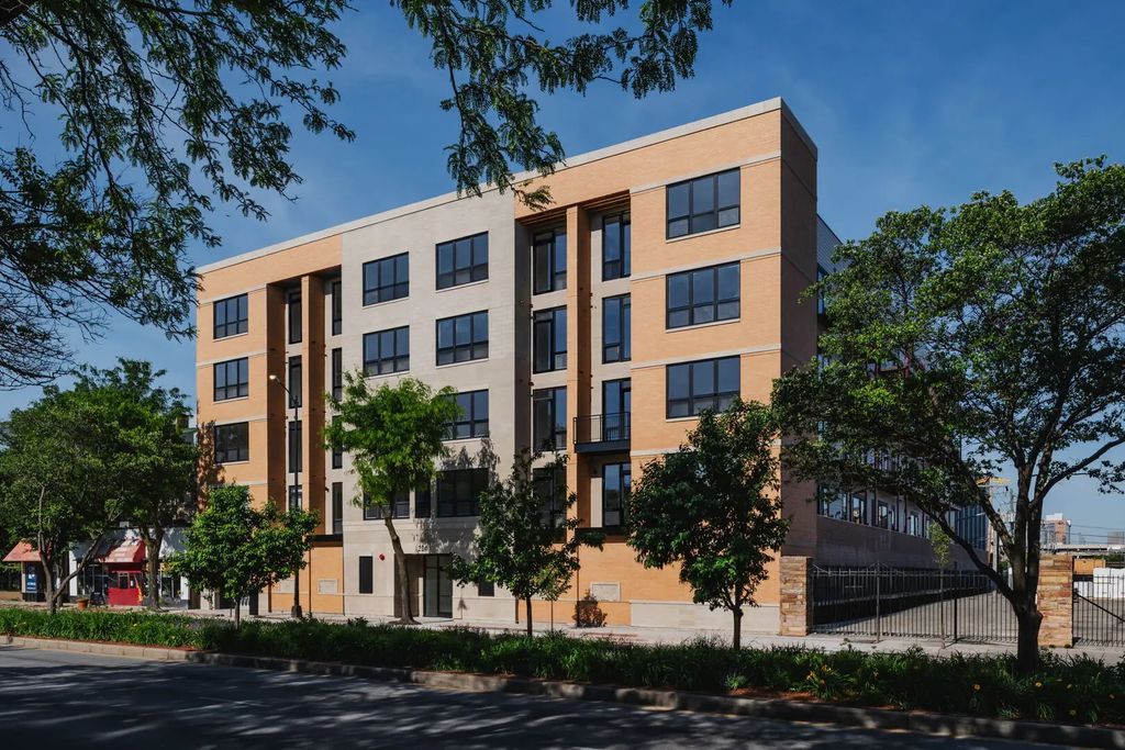224 S Ashland Avenue 213, Chicago, 60607