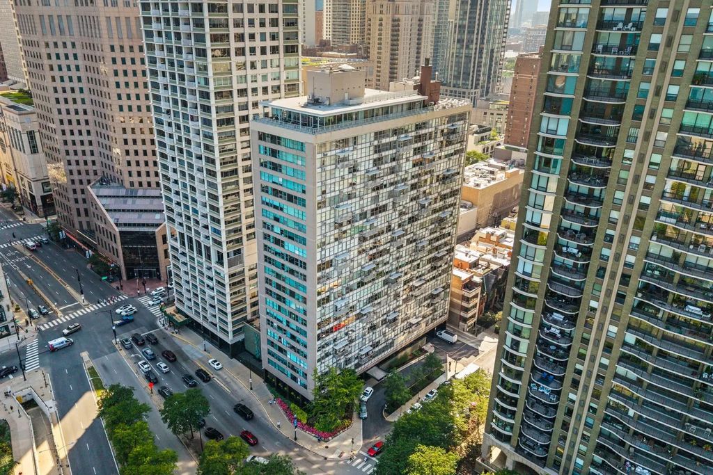 1000 N Lake Shore Drive 1709, Chicago