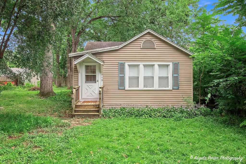 919 Monroe Avenue, Wauconda