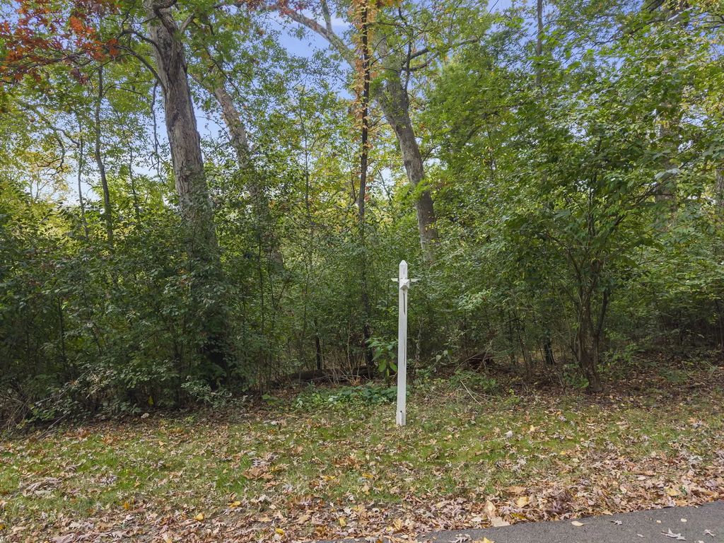3n058 Campton Wood Drive, Campton Hills