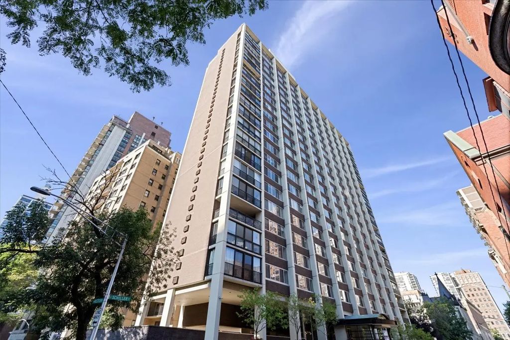 1 E Schiller Street 16c, Chicago, 60610