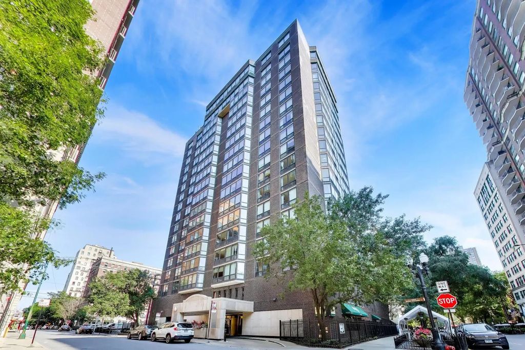21 W Goethe Street 10l, Chicago, 60610