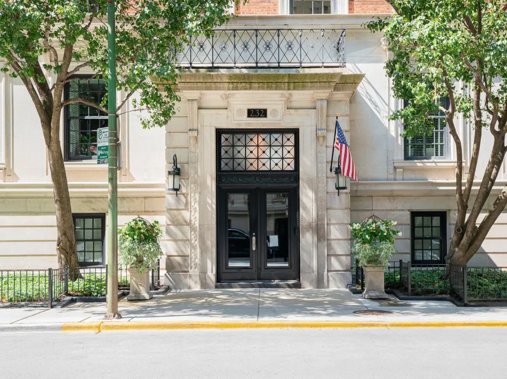 232 E Walton Place 3e, Chicago, 60611