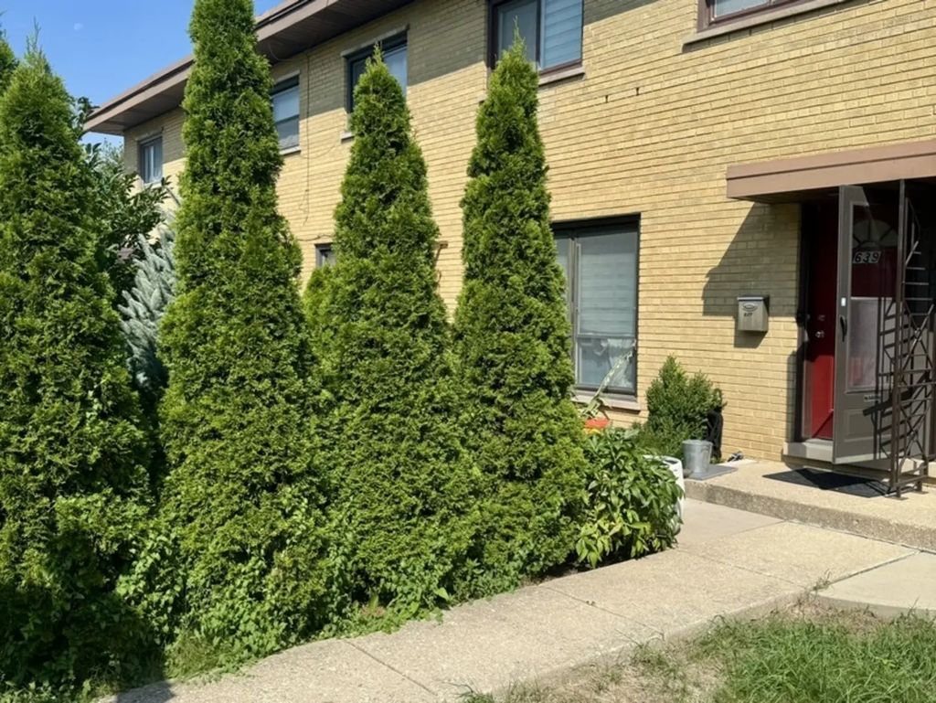 639 Maple Court, Mount Prospect