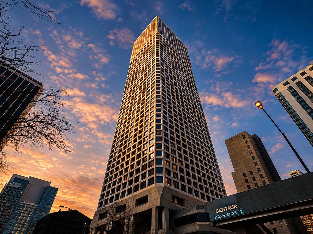 1030 N State Street 33k, Chicago