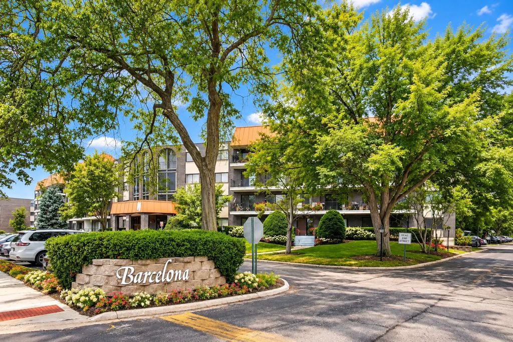 9530 Lamon Avenue 316, Skokie