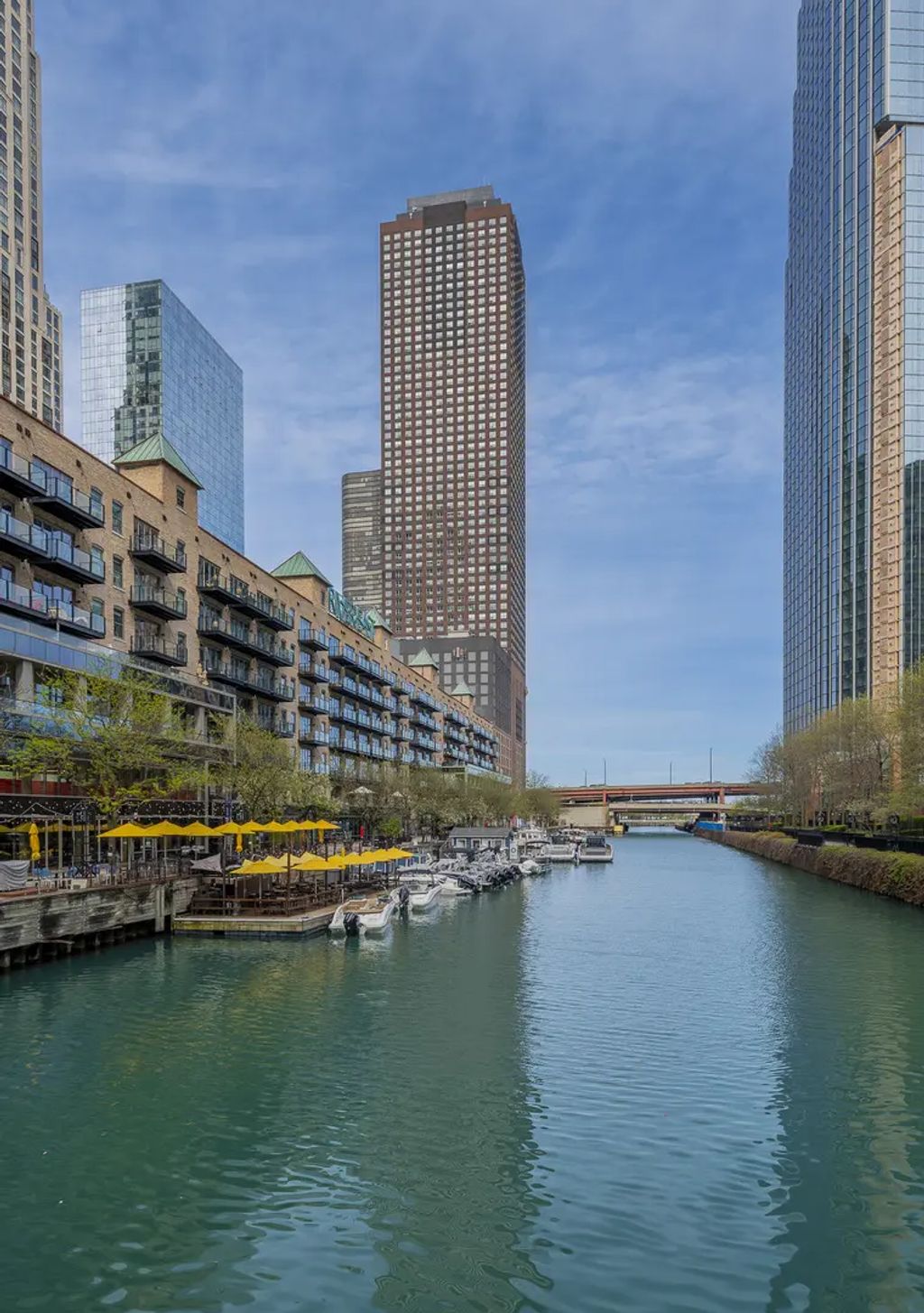474 N Lake Shore Drive 2007, Chicago, 60611