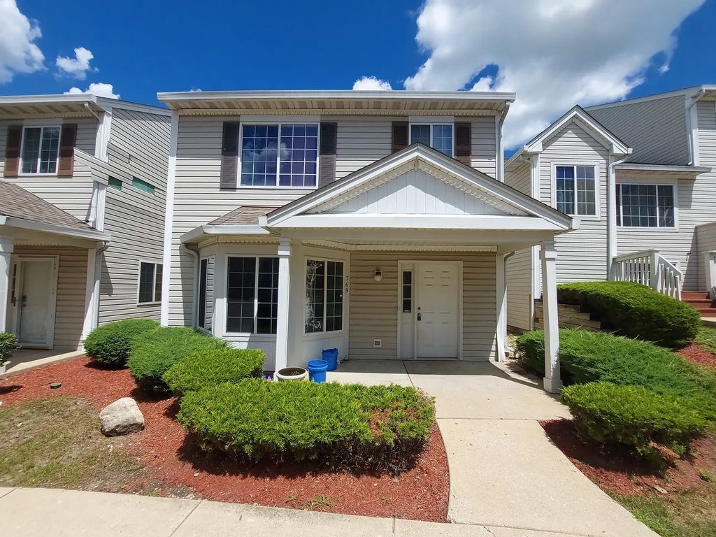 369 Springmist Court 369, Bolingbrook