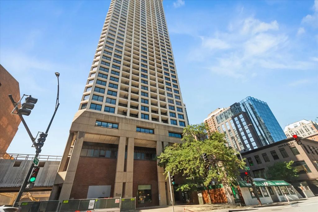 1030 N State Street 29c, Chicago, 60610
