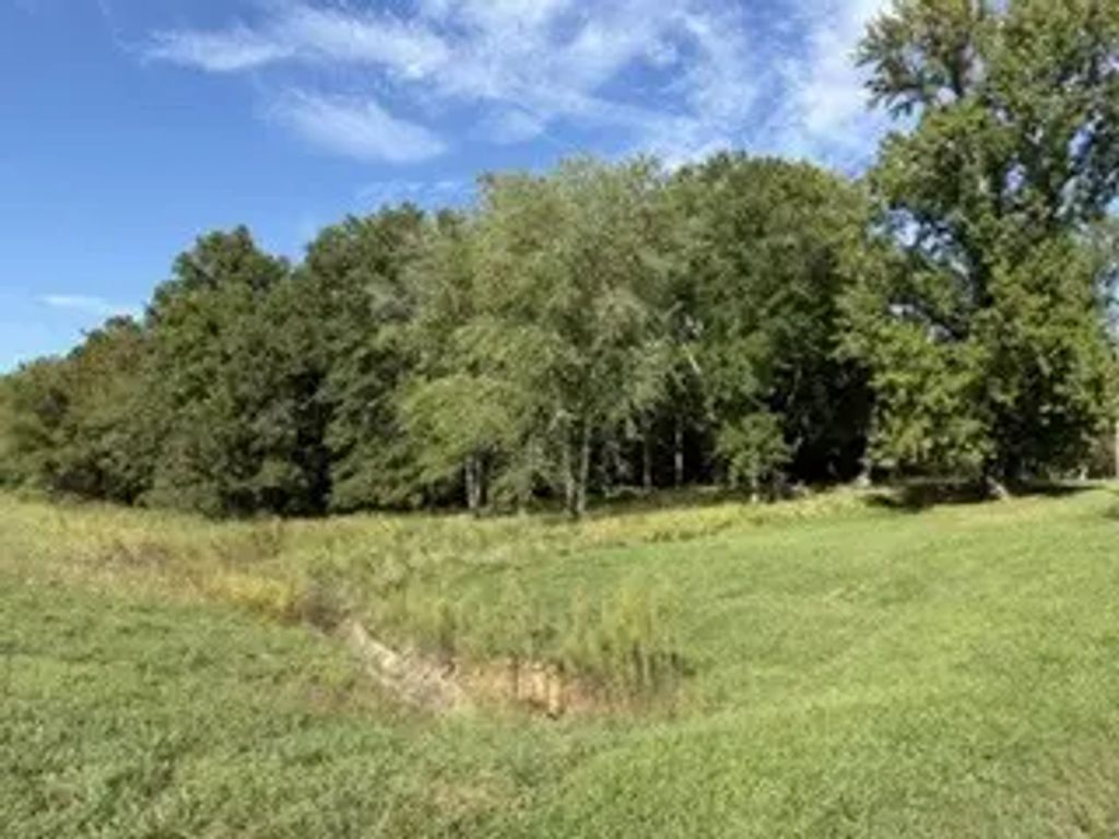 400 S Mayor Caliper Drive, Carterville