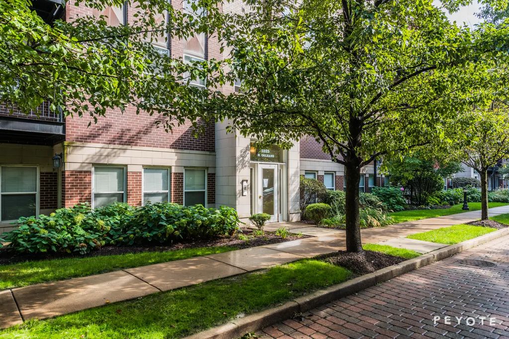 1225 N Orleans Street 502, Chicago