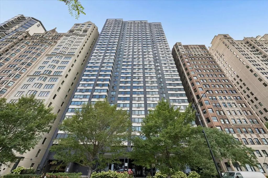 1440 N Lake Shore Drive 12h, Chicago