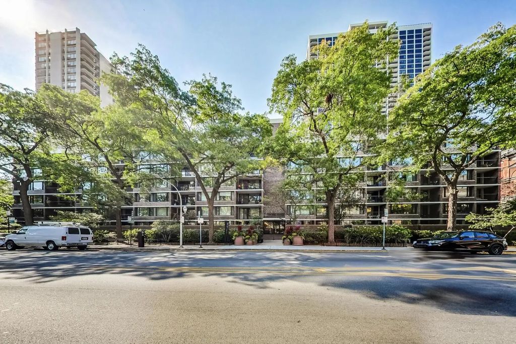 1555 N Sandburg Terrace 209k, Chicago