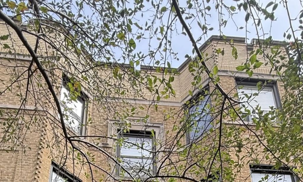 539 W Brompton Avenue 1b, Chicago