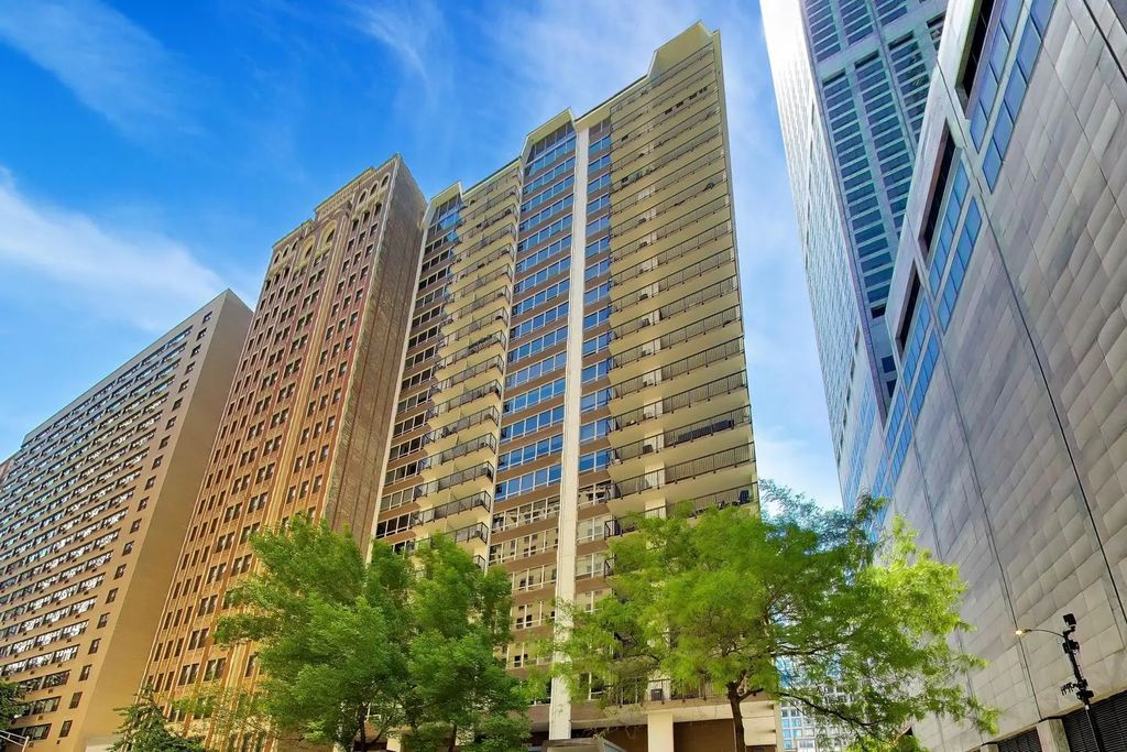 201 E Chestnut Street 3a, Chicago